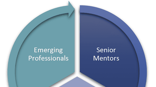 GPA Annual Mentor Program is Accepting Applications